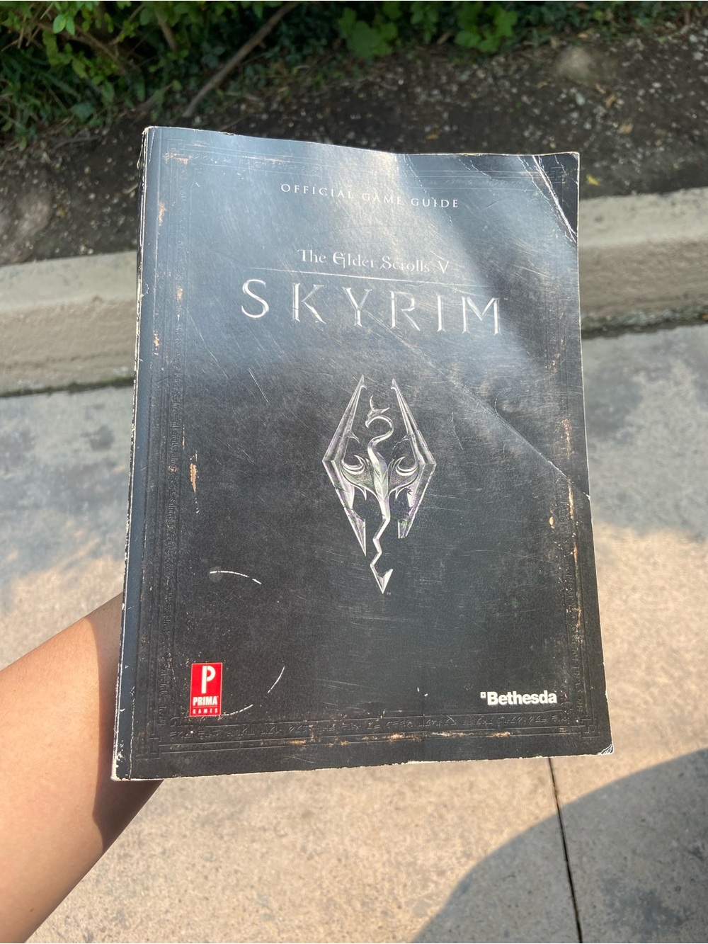 Skyrim Official Game Guide - Black